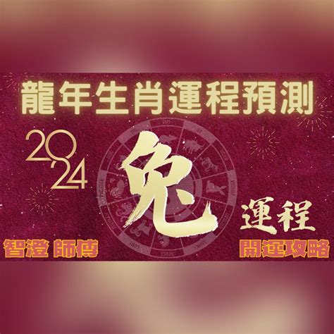 2024兔運程|屬兔2024運勢前瞻：每月運程詳析